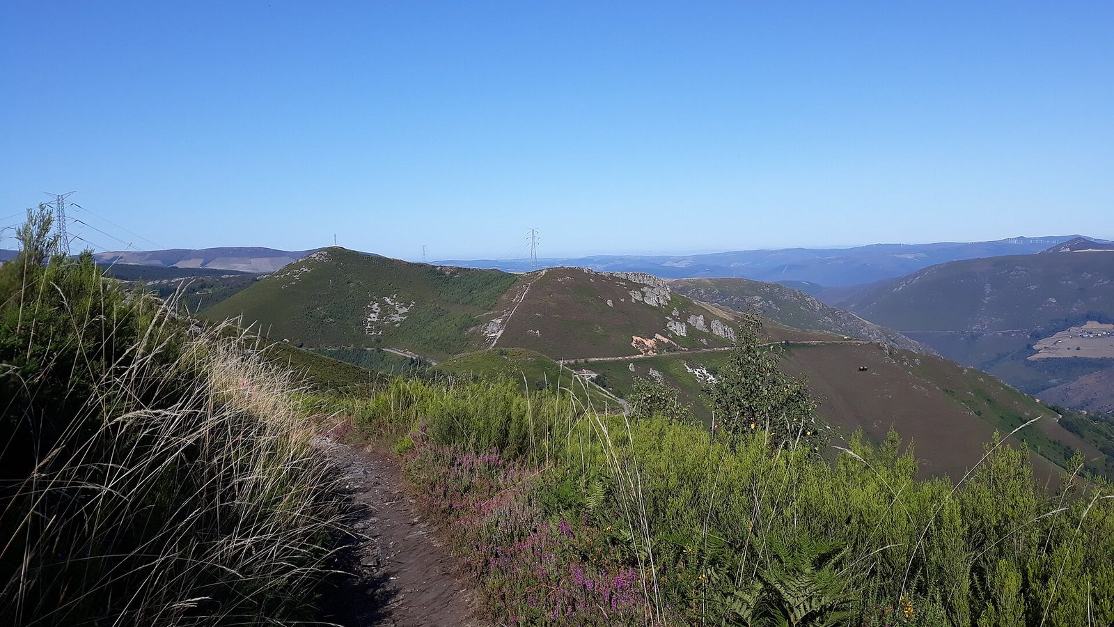 Camino Primitivo